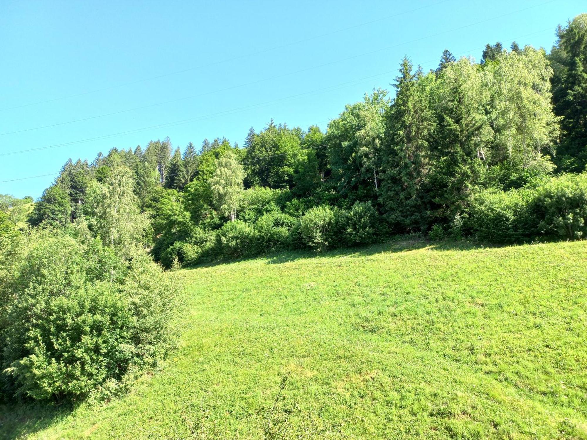 Landhof Kreuzsalgut Apartamento Wagrain Exterior foto